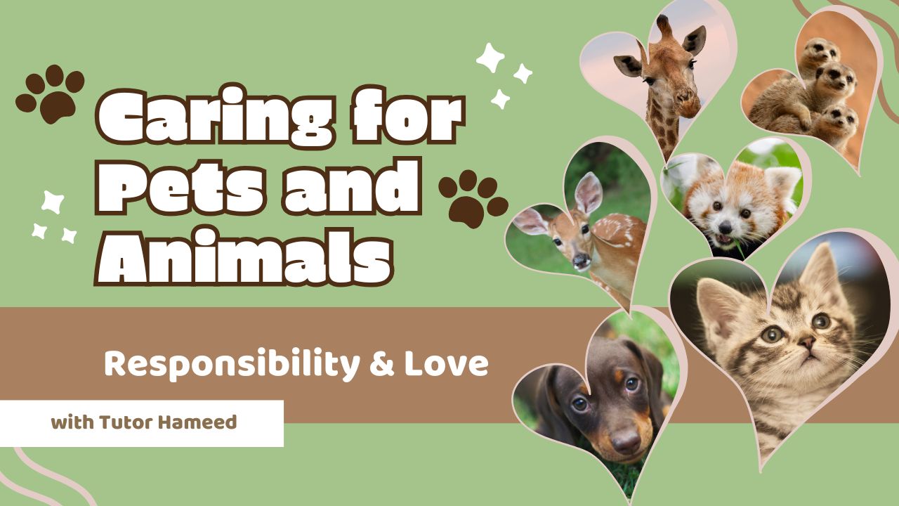 Pets and Animals: Responsibility and Love